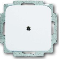 Busch-Jaeger Blindzentralscheibe aws mit Tragring 2538-214 Busch-Jaeger Blindzentralscheibe aws mit Tragring 2538-214 von Busch-Jaeger