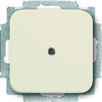 Busch-Jaeger Blindzentralscheibe ws mit Tragring 2538-212 von Busch-Jaeger