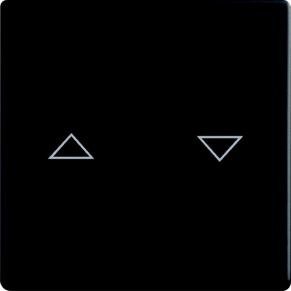 Busch-Jaeger Jalousie Busch Jaeger Jalousiewippe 2-fach Future Linear Busch-Jaeger Jalousie Busch Jaeger Jalousiewippe 2-fach Future Linear von Busch-Jaeger