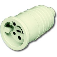 Busch-Jaeger Perilex-Kupplung 16A ws 2364 KUW von Busch-Jaeger