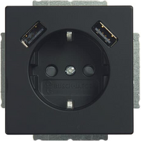 Busch-Jaeger SCHUKO-2x USB Steckdose 20 EUCB2USB-885 Busch-Jaeger SCHUKO-2x USB Steckdose 20 EUCB2USB-885 von Busch-Jaeger