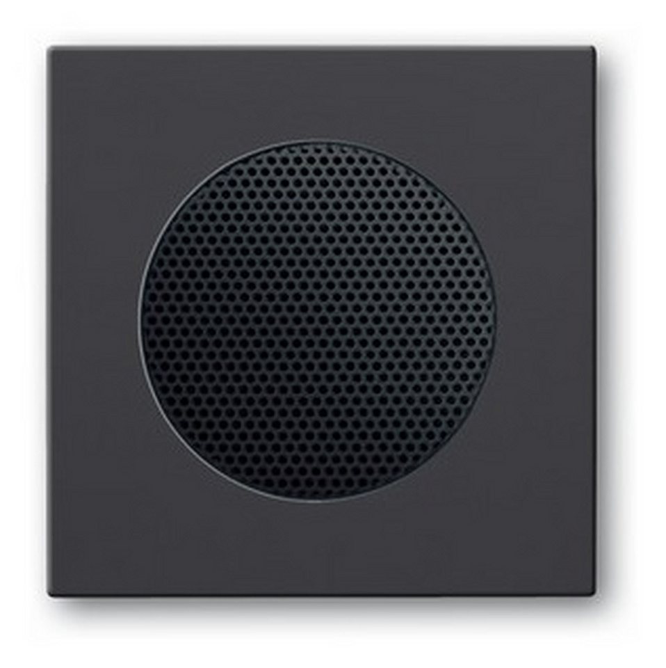 Busch-Jaeger Schalter, Zentralscheibe AudioWorld anthrazit glänzend von Busch-Jaeger