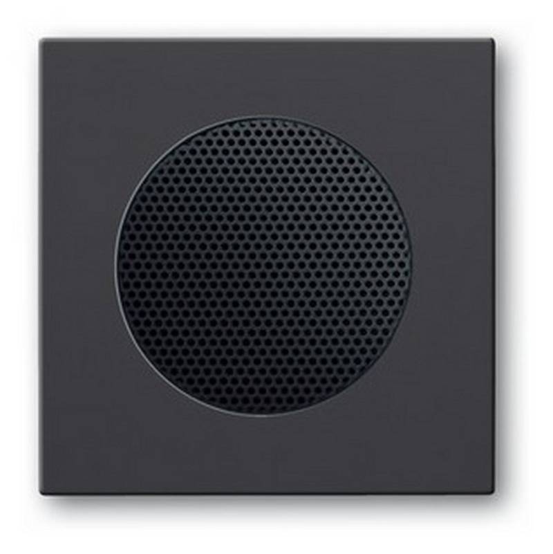 Busch-Jaeger Schalter, Zentralscheibe AudioWorld anthrazit glänzend von Busch-Jaeger