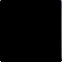 Busch Jaeger Serien-Wippe 1-fach für Schalter/Taster Future Linear schwarz matt 1786-885 Busch Jaeger Serien-Wippe 1-fach für Schalter/Taster Future Linear schwarz matt 1786-885 von Busch-Jaeger