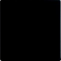 Busch Jaeger Serien-Wippe 2-fach für Schalter/Taster Future Linear schwarz matt 1785-885 von Busch-Jaeger