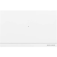 Busch-Jaeger Smart Access Point Pro D04011-03 von Busch-Jaeger