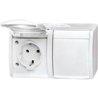 Busch-Jaeger 20/2 EW-54 SCHUKO® Steckdose 2-fach von VIEGA