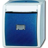 Busch-Jaeger Taster Schliesser 1-pol.AP 2621 WN-53-201 von Busch-Jaeger