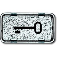 Busch-Jaeger Tastersymbol Schlüssel 2622 TR-101 Busch-Jaeger Tastersymbol Schlüssel 2622 TR-101 von Busch-Jaeger