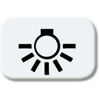 Busch-Jaeger Tastersymbol aws Licht 2525 LI-214 Busch-Jaeger Tastersymbol aws Licht 2525 LI-214 von Busch-Jaeger
