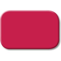Busch-Jaeger Tastersymbol rot 2525-12 von Busch-Jaeger