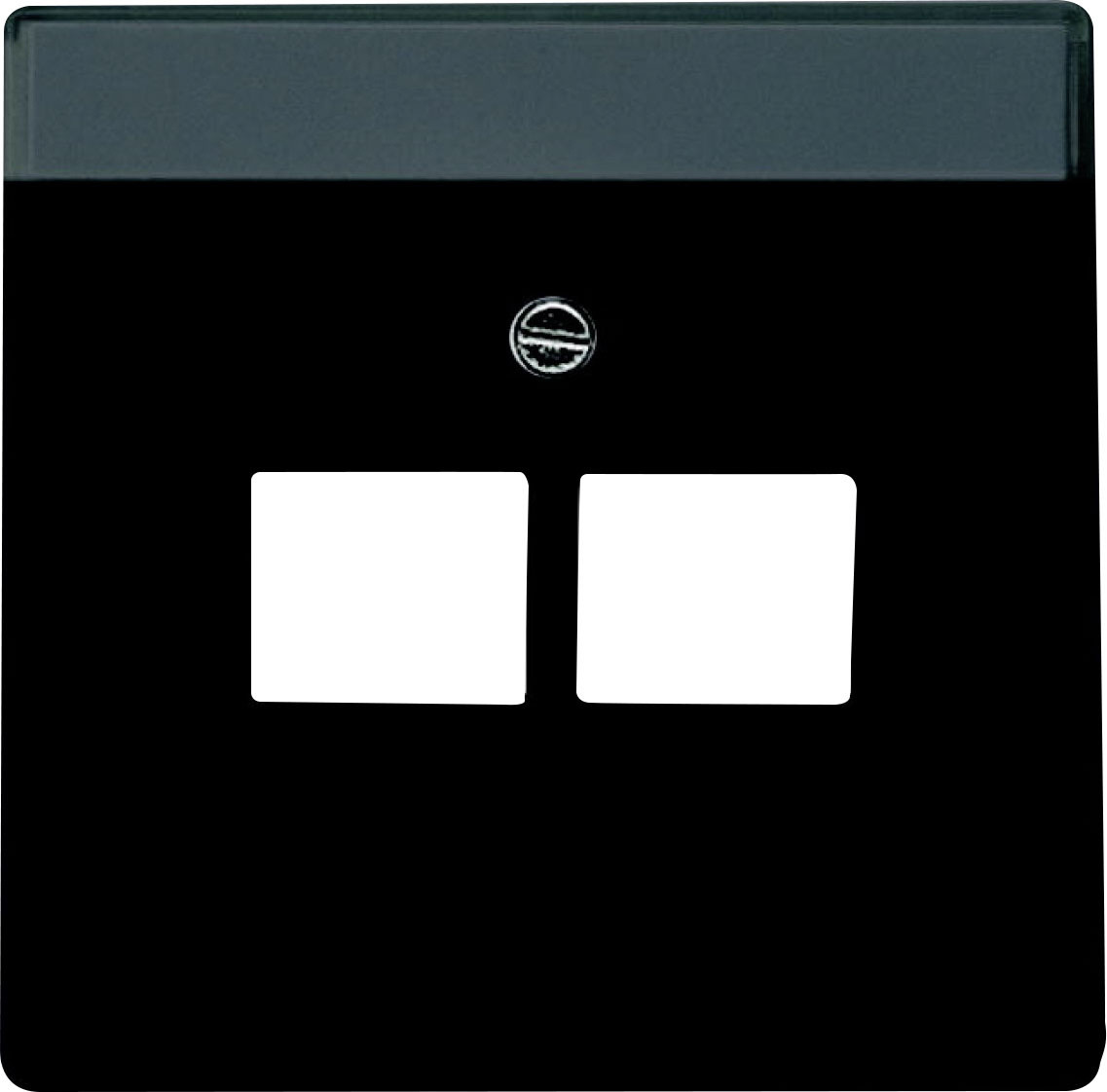 Busch Jaeger UAE-Abdeckung 2-fach Future Linear schwarz matt 1803-02-885 Busch Jaeger UAE-Abdeckung 2-fach Future Linear schwarz matt 1803-02-885 von Busch-Jaeger