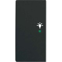 Busch-Jaeger Wippe sw mt future linear 6231-21-885 von Busch-Jaeger