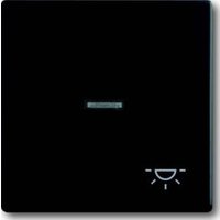 Busch-Jaeger Wippe sw mt mit Symbol Licht 1789 LI-885 Busch-Jaeger Wippe sw mt mit Symbol Licht 1789 LI-885 von Busch-Jaeger