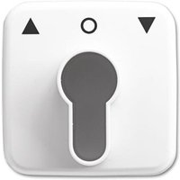 Busch-Jaeger 2557 PZ-214-101 Zentralscheibe mit Aufdruck Busch-Jaeger 2557 PZ-214-101 Zentralscheibe mit Aufdruck von Busch-Jaeger