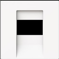 Busch-Jaeger Zentralscheibe 1766-44M Busch-Jaeger Zentralscheibe 1766-44M von Busch-Jaeger