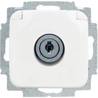 Busch-jaeger - 20 EUKSL-214-101 schuko® Steckdosen-Einsatz mit Klappdeckel und Schloss von Busch-Jaeger