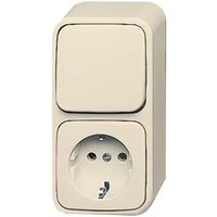 Busch-jaeger - 2601/6/2300 eap Kombination schuko® Steckdose, mit Wippschalter Aus- und Wechselschaltung von Busch-Jaeger