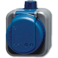 Busch-jaeger - 2300 ewdi schuko® Steckdose 2-polig von Busch-Jaeger