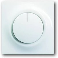 6540-74 Zentralscheibe mit Drehknopf, Bef.-Mutter und Glimmlampe - Busch-jaeger von Busch-Jaeger