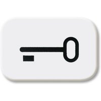 Busch-jaeger - 2525 TR-214 Tastersymbol Schlüssel von Busch-Jaeger