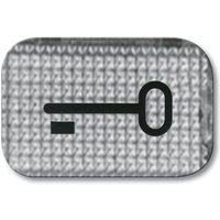 Tastersymbol Schlüssell transparent 2145TR - Busch-jaeger von Busch-Jaeger