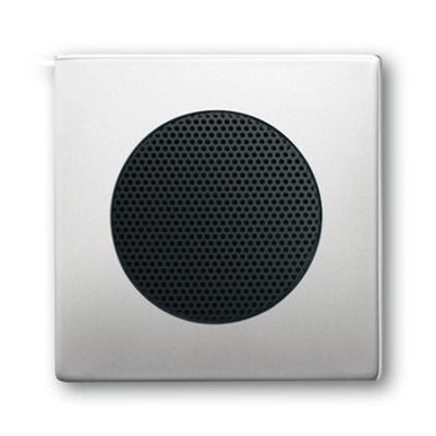 Zentralscheibe AudioWorld Edelstahl glänzend Zentralscheibe AudioWorld Edelstahl glänzend von Busch-jaeger