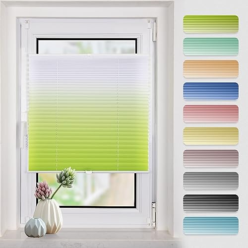 Plissee Farbeverlauf 50x130cm(BxH) Grün-Weiß plissees klemmfix ohne Bohen Blickdicht Faltrollo Lichtdurchlässig Rollos für Fenster ohne Bohren von Buseu