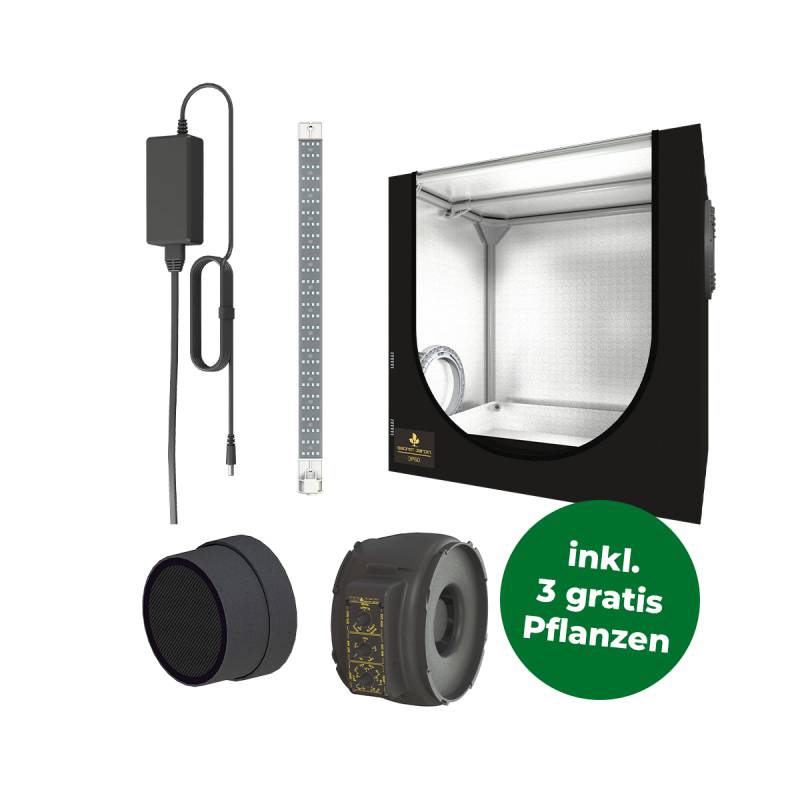 Grow Set DP 60 von Bushdoctor