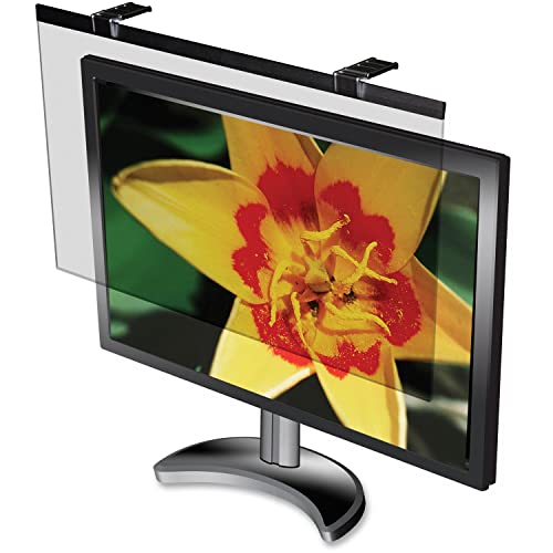 Compucessory Blendfreie LCD-Filter (ccs59020) von Business Source