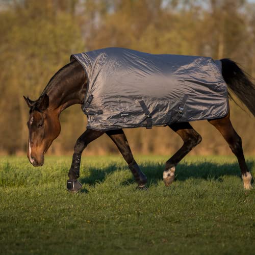 Outdoordecke RAIN-DEAR 100 Outdoordecke RAIN-DEAR 100 von Busse