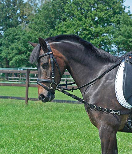 Busse Ausbindezügel OESEN-Elastik, SH/M-Pony, schwarz/NP von Busse