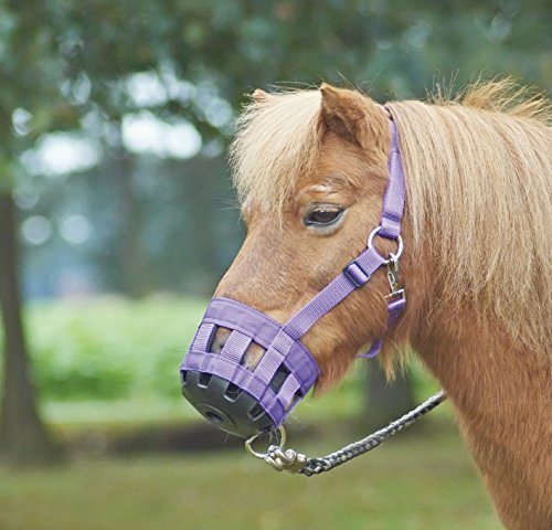 Busse Fressbremse Classic, schwarz, Kaltblut, Warmblut extra groß von Busse