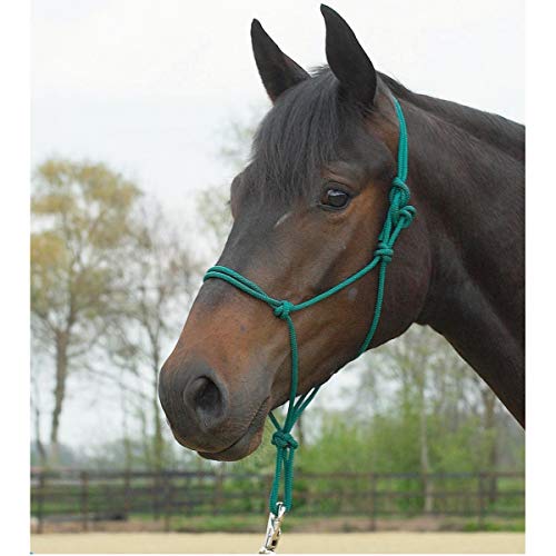 Busse Knotenhalfter Standard, Tanne, Pony/Vollblut Busse Knotenhalfter Standard, Tanne, Pony/Vollblut von Busse