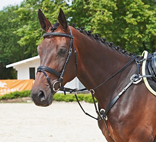 Busse Vorderzeug SOLIBEL, schwarz/Edelstahl, Vollblut/Warmblut von Busse