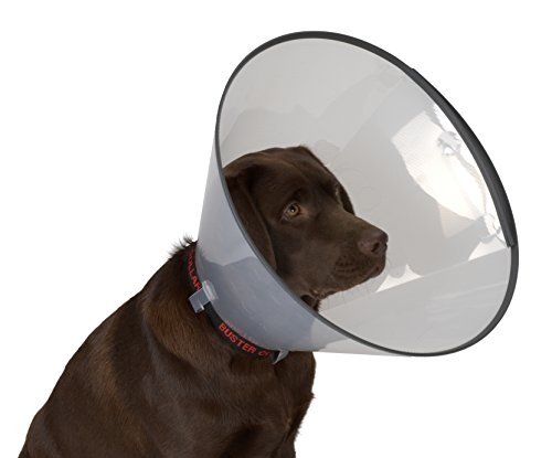Collar ISABELINO Comfort 30 5UDS KRUUSE Collar ISABELINO Comfort 30 5UDS KRUUSE von Buster