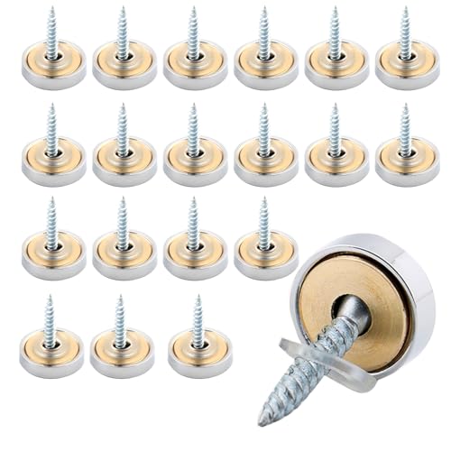 Zierschrauben, Spiegelschrauben, Schrauben mit Abdeckkappe, 20 Stück 12mm Silber Spiegelschrauben, KappennäGel, Abdecknägel mit Unterlegscheiben, für Spiegeltische, Badplatten, Glasschilder von Butyeak