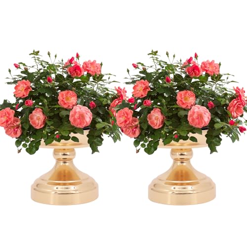 Kleine Vasen für Tischdeko, 2 Stück 11.5cm Tischdeko Hochzeit, Gold Vasen für Mittelstücke Hochzeit Dekoration von Geburtstagen, Partys, Metallblumentöpfen, Wohnzimmern und Balkonen Dekoration Kleine Vasen für Tischdeko, 2 Stück 11.5cm Tischdeko Hochzeit, Gold Vasen für Mittelstücke Hochzeit Dekoration von Geburtstagen, Partys, Metallblumentöpfen, Wohnzimmern und Balkonen Dekoration von Buwico