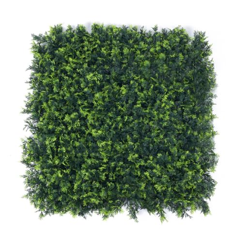 Buxibo Kunsthecke Set - 4x50x50 cm - Grüne Wand - Künstlicher Olivenbaum - Balkonsichtschutz - Kunstpflanzen innen/außen - Olive von Buxibo