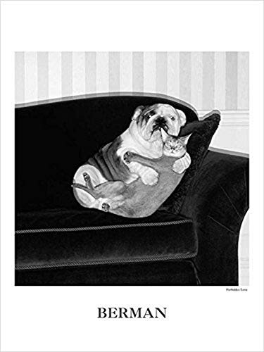 Buyartforless Forbidden Love by Howard Berman 24x18 Cat Hugging Dog Photograph Art Print Poster von Buyartforless