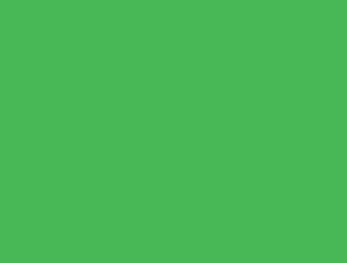 Abtön- & Volltonfarben 250 ml Farbe apfelgrün (273) von Buzzard