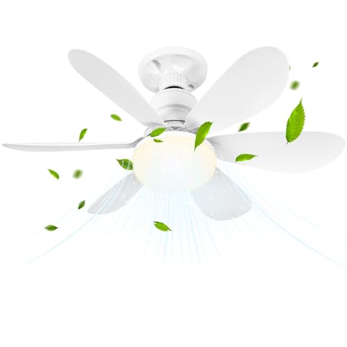 BuzzoXerex Deckenleuchte mit Ventilator, Deckenventilator mit Beleuchtung und Fernbedienung, Klein Leise Decken Ventilator mit 3 Windstufen, Dimmbar, Timing Funktion für Schlafzimmer (50CM) von BuzzoXerex