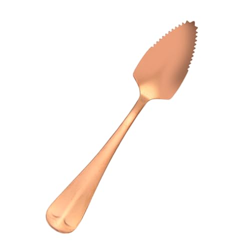 Bvizyelck Edelstahl Löffel, Gezahntes Besteck zum, Edelstahl Esslöffel, Für Obst Dessert Salat Frühstück von Bvizyelck