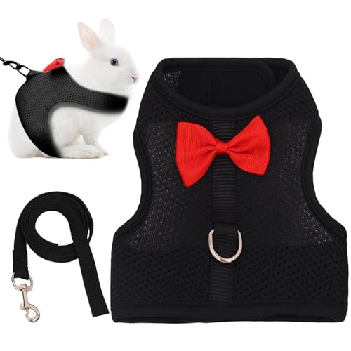 Bvizyelck Kaninchengeschirr – tragbare Netz-Hasen-Leinen für Kaninchen – Westengeschirr und Leinen, ausbruchsicher, leichtes Hasengeschirr-Set für Kätzchen Bvizyelck Kaninchengeschirr – tragbare Netz-Hasen-Leinen für Kaninchen – Westengeschirr und Leinen, ausbruchsicher, leichtes Hasengeschirr-Set für Kätzchen von Bvizyelck
