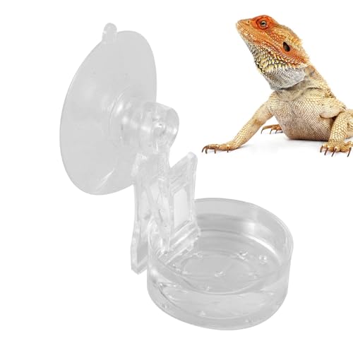 Bvizyelck Reptilien Futterautomat,Reptilien Futternapf mit Saugnapf - Leicht zu reinigende Schale für Geckos, Baumfrösche und Spinnentiere bei der Haustierfütterung Bvizyelck Reptilien Futterautomat,Reptilien Futternapf mit Saugnapf - Leicht zu reinigende Schale für Geckos, Baumfrösche und Spinnentiere bei der Haustierfütterung von Bvizyelck