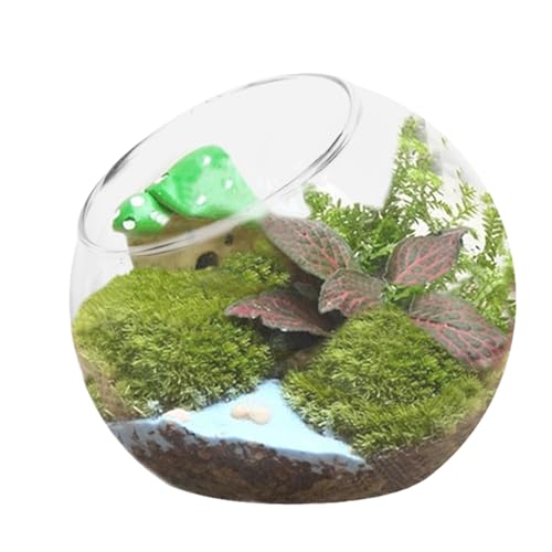 Glas Terrarium Glasvase Blumentopf Kugelaquarium Kugelvase Pflanzencontainer Pflanzen Terrarium Pflanztopf Für Sukkulenten Kakteen Sukkulenten topfe Glasschale Für Büro Tischdekoration von Bvizyelck