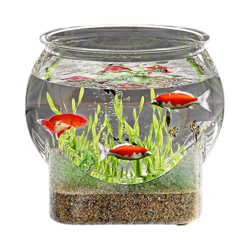 Kugelaquarium Bruchsicherer Kunststoff Fischschale Transparentes Aquariumschale Rundes Fischaquarium Für Betta Fische Robust Klare Runde Fischschale Für Den Tisch Fisch Mikrolandschaft Tischdeko von Bvizyelck