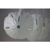 Sanddollar Weihnachtsschmuck von ByTheSeashoreDecor