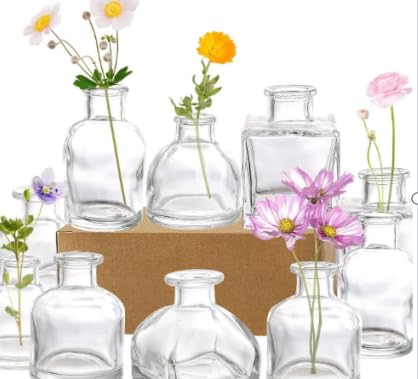 Byfoyif Kleine Vase, transparent 7er Set Klein Vasen Mini Glasvasen Kleine Vase Glas Blumenvasen mini Vasen Tischdeko für Küche Wohnzimmer Office Regal Hochzeit Party Tisch Deko für Tischdeko Zuhause von Byfoyif