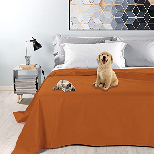 Byour3 - 100% wasserdichte Baumwolle Doppel Tagesdecke Wohndecke Dekostoff Einzelbett Queen Size Resistenter Schutz Anti-Kratze Tierhaare Haustieren Hunde Katzen Kinder Waschbar (Hummer, Doppelbett) von Byour3